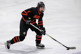 Image result for Brighton & Hove Hockey Club