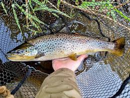 Image result for Diggle Angling Club