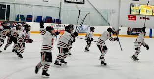 Image result for Whitchurch Hockey Club