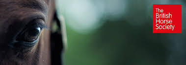 Image result for British Horse Society