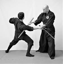 Image result for Bujinkan Cambridge Dojo
