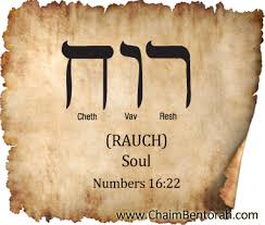 Image result for rauch