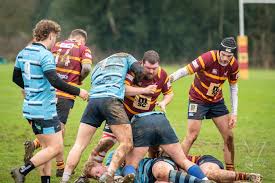 Image result for Ipswich Ym Rugby Union Football Club