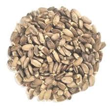 Attēlu rezultāti vaicājumam “Silybum marianum fruit”