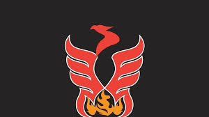 Image result for Phoenix Netball Club