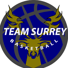 Image result for Surrey Spitfires Basketball Club