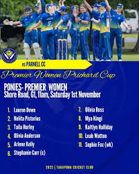 Image result for Hurley Cricket Club