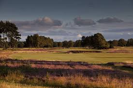 Image result for Walton Heath Golf Club