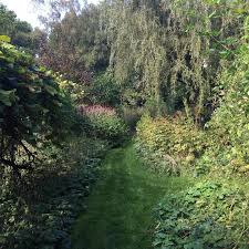 Image result for Priona Tuinen