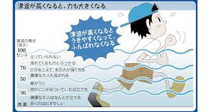 Image result for 耐震 大津波無力