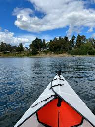 Image result for Martlet Kayak Club