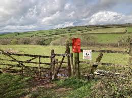 Image result for Ashcombe Valley Archers