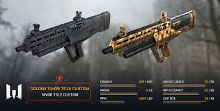 Résultat de recherche d'images pour "custom tavor"
