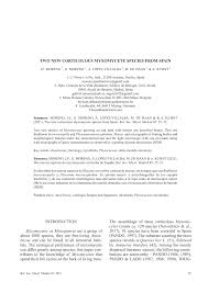 Attēlu rezultāti vaicājumam “Physarum bryocorticola macro”