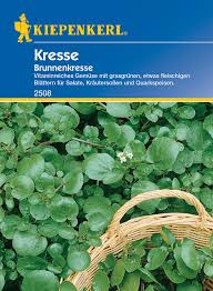 Image result for Brunnenkresse