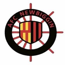 Image result for New Latchingdon Youth Football Club