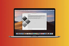 Image result for MACSFIT bootcamps ltd