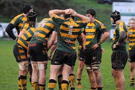 Image result for Bury St Edmunds Rugby Union Football Club