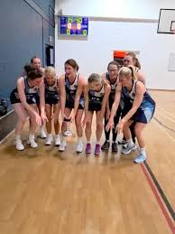 Image result for Halton Netball Club