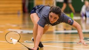 Image result for Phoenix (Aylesbury) Badminton Club