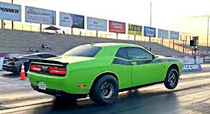 Image result for limecat