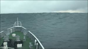 Image result for 耐震 大津波無力