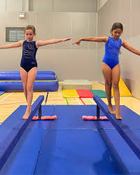 Image result for Brumby Gymnastics Club