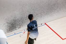 Image result for Redbridge Squash Club