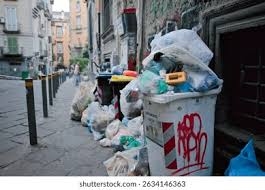 Image result for napoli garbage