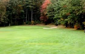 Image result for Southampton Community Cc