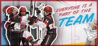 Image result for Whitchurch Hockey Club