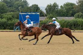 Image result for Taunton Vale Polo Club