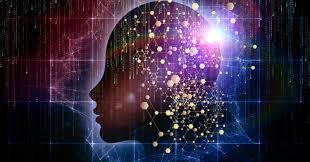 Image result for consciousness