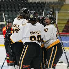 Image result for Cardiff Comets Ladies Ice Hockey