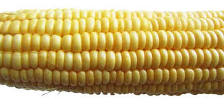 Image result for Mais