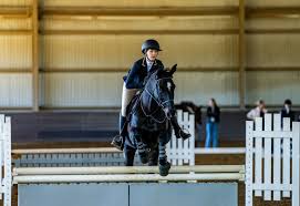 Image result for South Weylands Equestrian