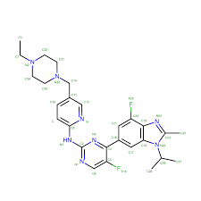 Image result for b%FD%E7ak anatomisi