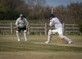 Image result for Over Stowey Cricket Club