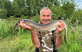 Image result for British Conger Club