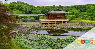 Image result for japanese gardens...