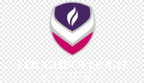 Image result for Leicester Lightning