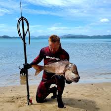 Image result for Pagrus auratus