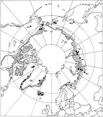 Attēlu rezultāti vaicājumam “Licea minima sessile”