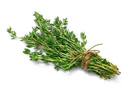 Image result for Thymian