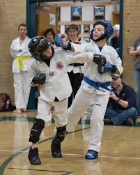 Image result for New Milton Taekwondo Club