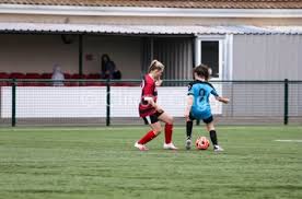 Image result for Beecholme Fc