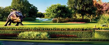 Image result for Isleworth Bowling Club