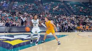 Image result for Scarborough Seahawks Basketball Club