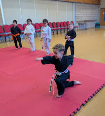 Image result for Junsui Shotokan Karate Do