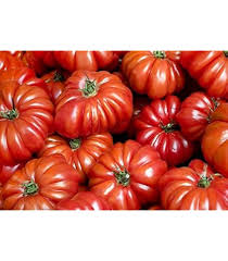 Afbeeldingsresultaat voor kosmonaut volkov 68D tomato